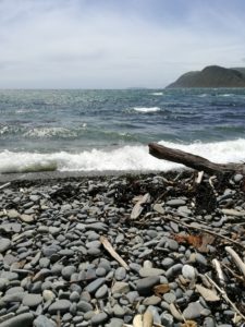 Experience NewZealand, Makara Beach