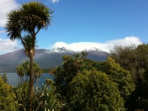 Experience NewZealand  -  Lake Rotoaira, with a view on Tongariro National Park, Central North Island, Aotearoa, New Zealand